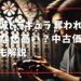 悪魔城ドラキュラ 奪われた刻印はなぜ高い？中古価格の動向も解説